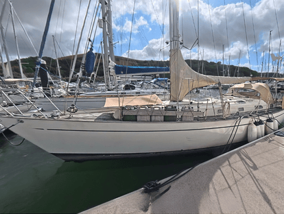 Bowman 40