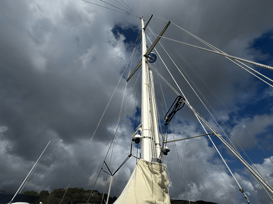 Bowman mast